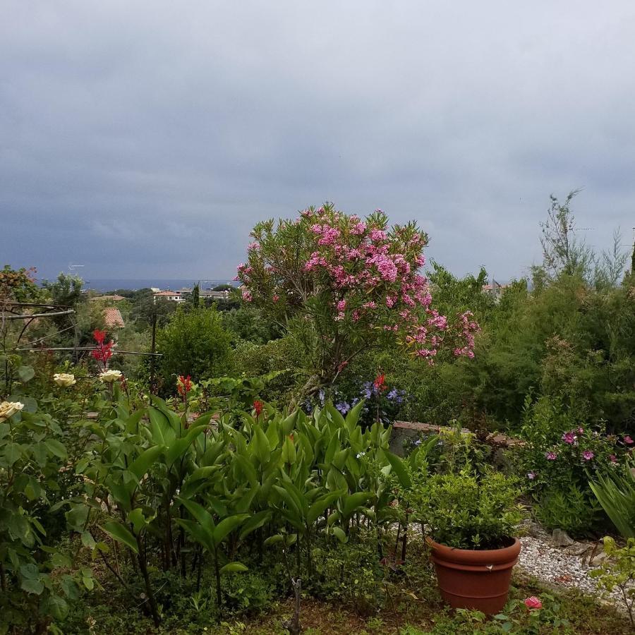 Villa Cassuto Maison De Charme Antignano  Eksteriør bilde