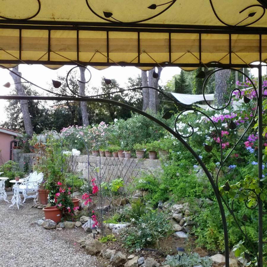 Villa Cassuto Maison De Charme Antignano  Eksteriør bilde